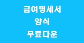 급여명세서 양식 캡쳐