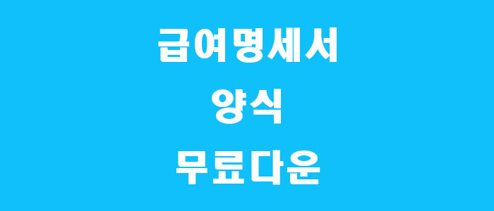 급여명세서 양식 캡쳐